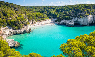 Baleari, nel Medioevo la felce era un medicinale