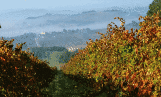 foliage autunnale<br>