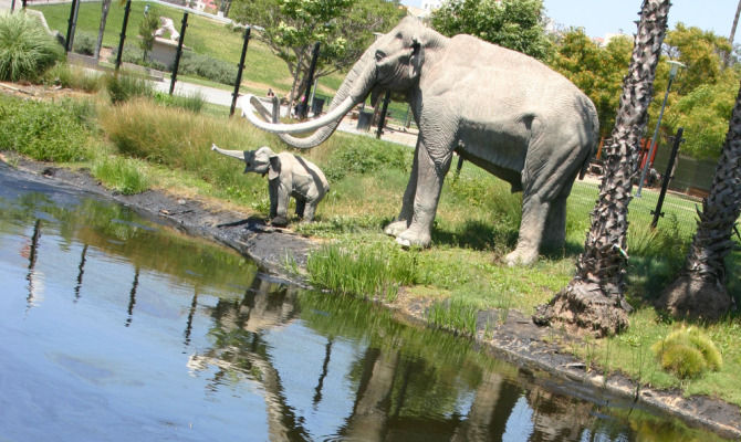 Los Angeles Tar Pits