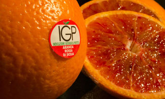 Sagra dell'arancia rossa Igp, sapore della Sicilia più autentica