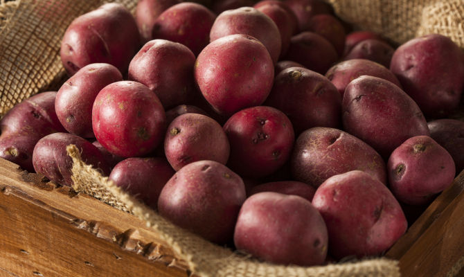 patate rosse tuberi cassa legno iuta natura 