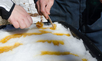 Maple Syrup, è tempo di dolcezza in Québec