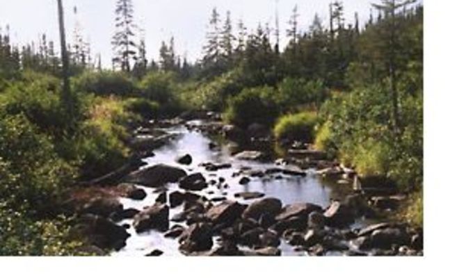 gaspesie
