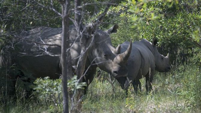 Viaggio in Zimbabwe