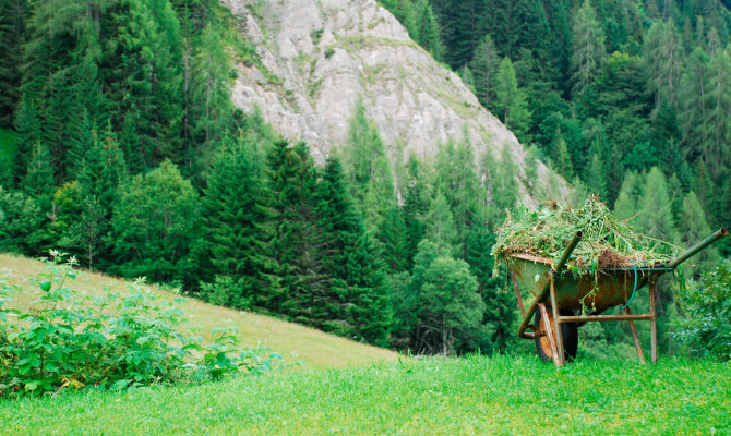 alpi carnia, friuli venezia giulia