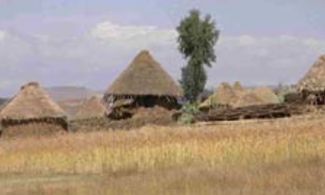 Etiopia. La culla dell'umanita'