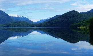 La natura selvaggia di Vancouver Island