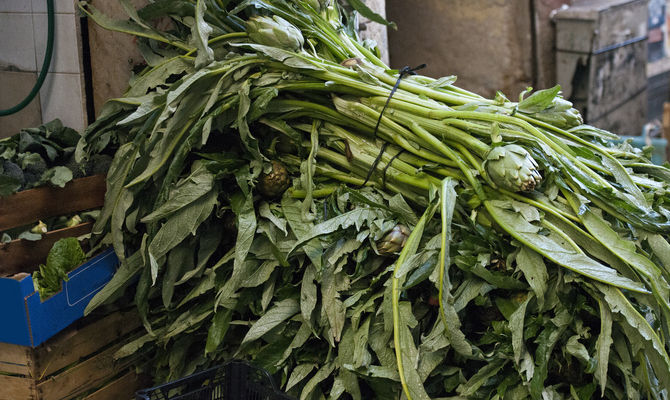 carciofi con foglie, ortaggi