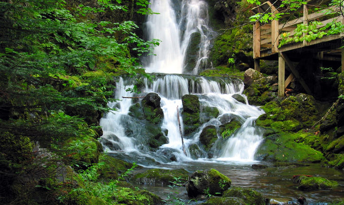 Fundy, Canada, natura