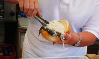 street food olandese, pane, cipolla e aringhe