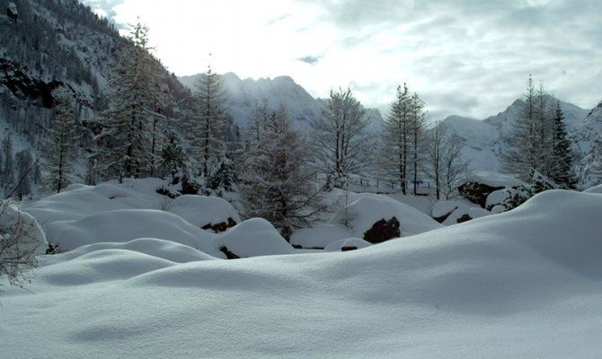 gran paradiso montagna neve alberi paesaggio inverno