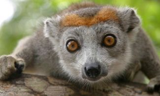 Madagascar, il richiamo della natura