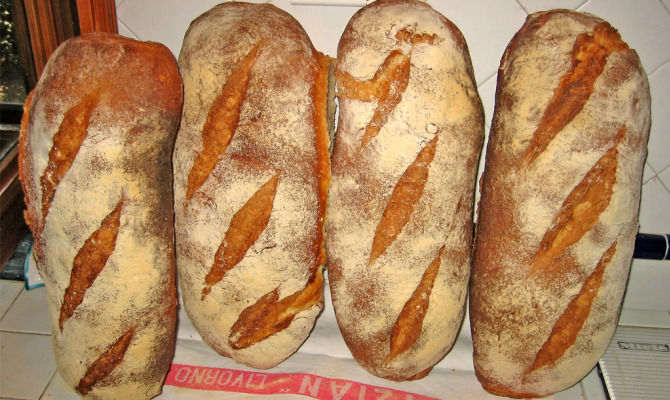 pane toscano filoni
