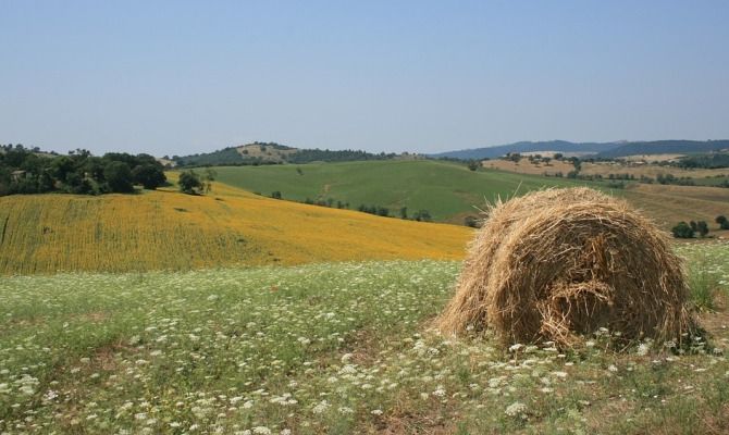 Maremma toscana