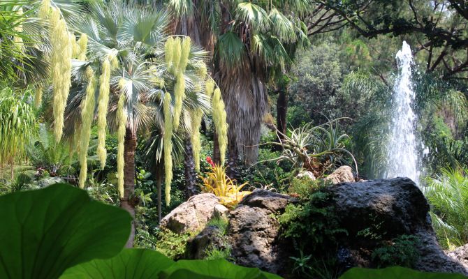 giardini la mortella ischia italia natura fontana