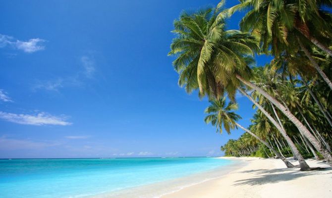 Paradise Island - Bahamas