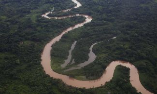 Giungla della Mosquitia, Honduras