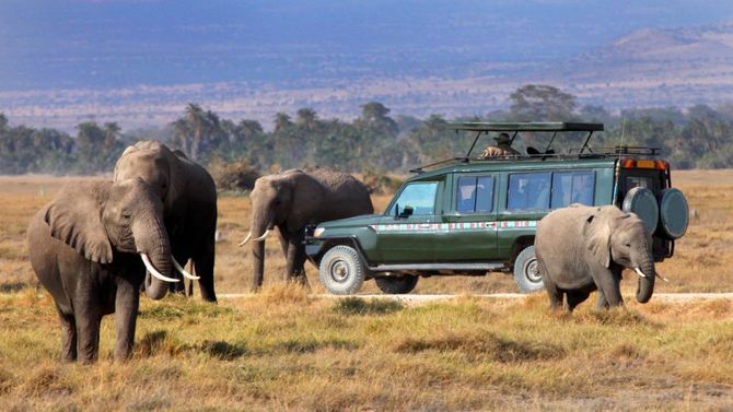 Safari in Tanzania