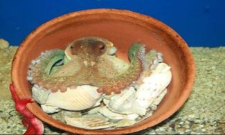 Acquario Aquaworld Creta