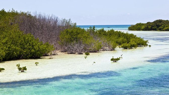 Florida Keys