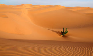 Mauritania tra deserto e oceano