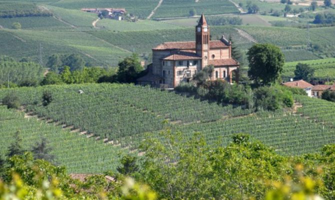 Colline delle Langhe