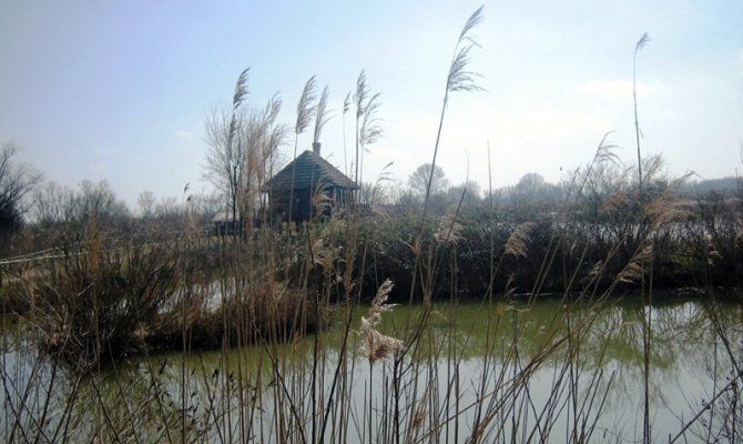 delta del po fiume golena natura acqua italia