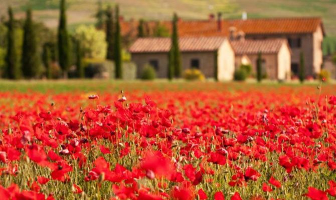 Campagna maremmana