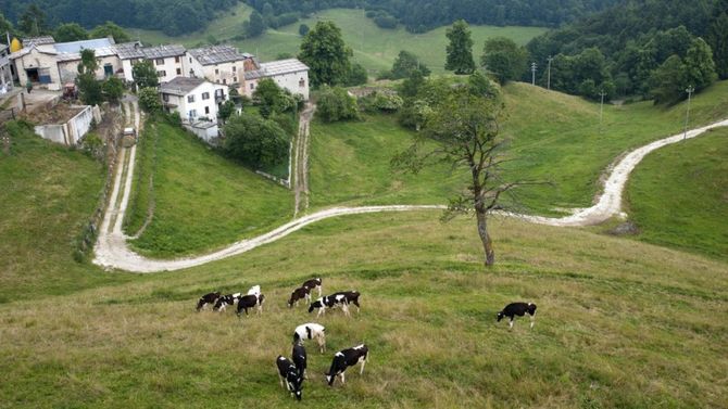 Colline Venete