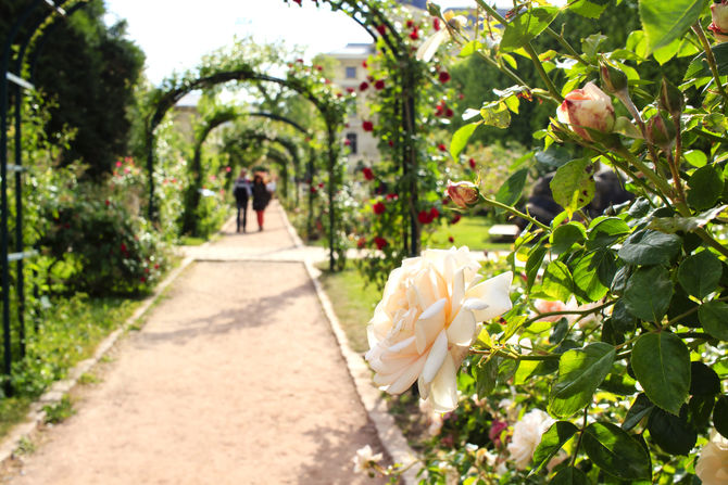 Jardin des Plantes