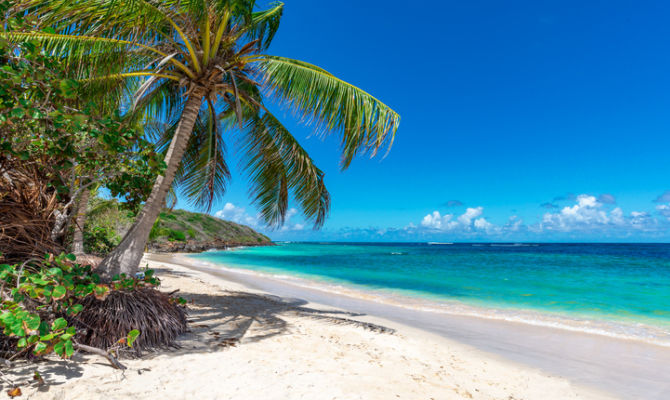 Spiaggia tropicale