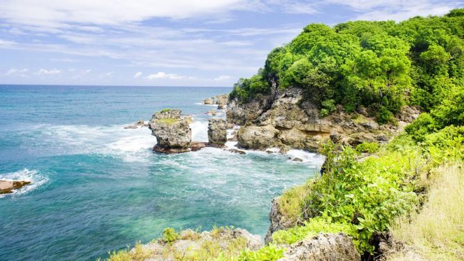 Barbados Scogliera