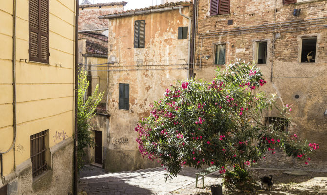 Strade di Perugia<br>