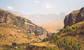 Destinazione Zululand