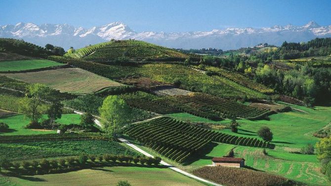 langhe rosa mosqueta foto