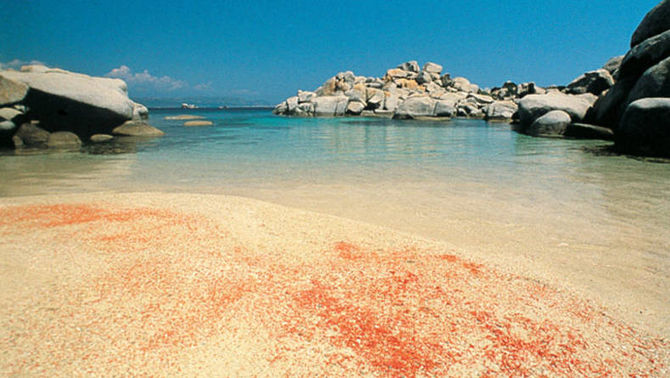 Spiaggia rosa