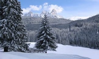 parco panneggio montagna neve trentino