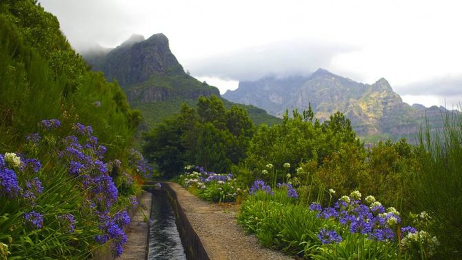 Natura di Madeira