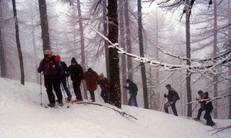 Come trascorrere il Natale in (Gran) Paradiso