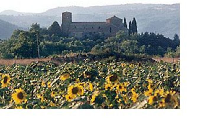 Maremma
