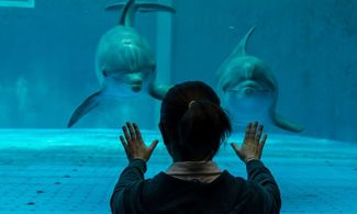 L’acquario di Genova compie 25 anni