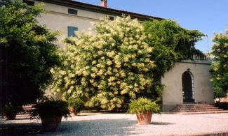 Lo Stagno, esterno