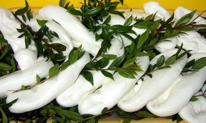 mozzarella mirto foglie formaggio fresco pasta filata arbusto