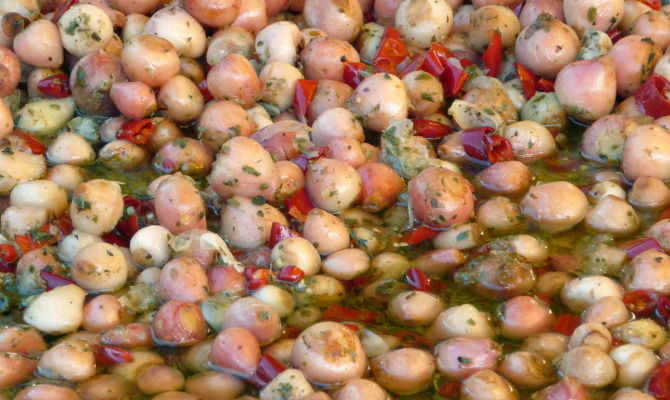 lampascioni bulbi olio