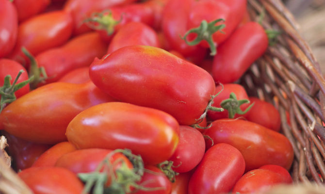 pomodori campani dop, san marzano