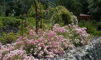 Abruzzo, l'Orto Botanico di Sant'Eufemia a Majella
