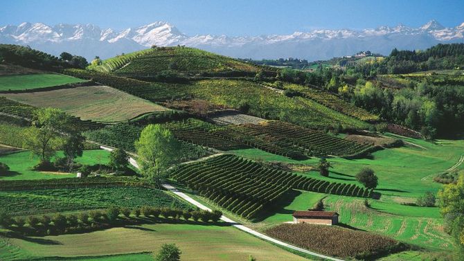 Paesaggio delle Langhe