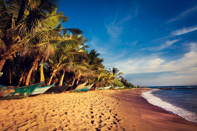 14 Mirissa Beach