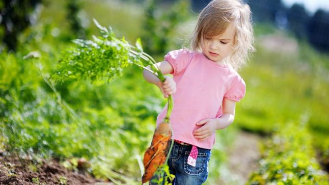 Bambina con carota