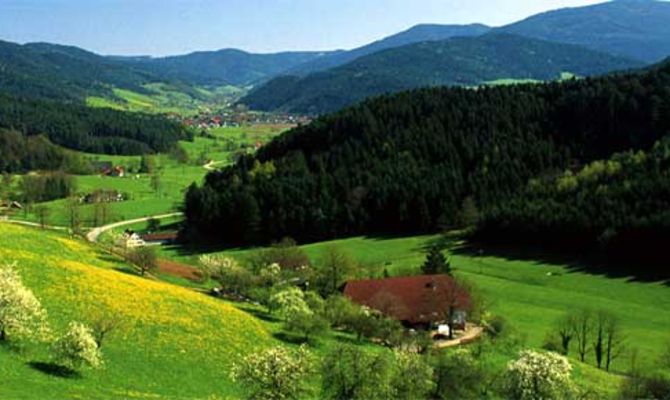 Strada panoramica della Foresta Nera